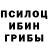 Псилоцибиновые грибы Magic Shrooms Synlex