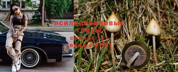 стаф Армянск