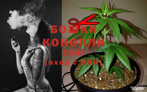 стаф Армянск