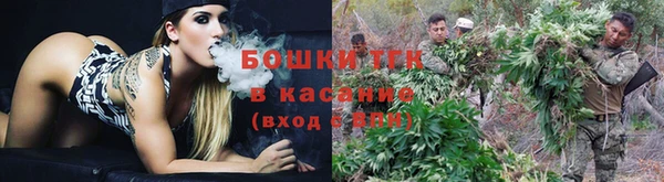 стаф Армянск
