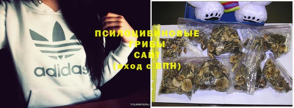 стаф Армянск