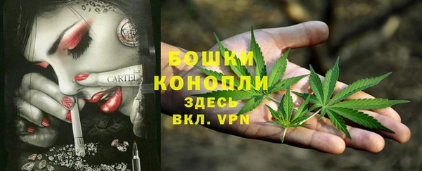 амф Арсеньев