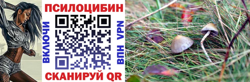 Псилоцибиновые грибы Magic Shrooms Усть-Илимск